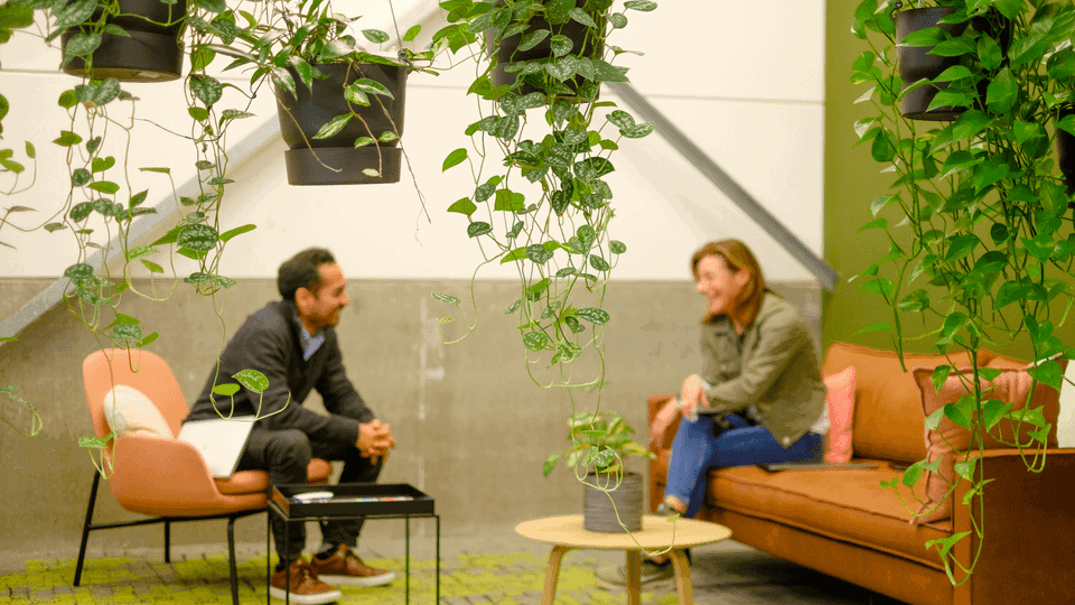 201123-MartinHogeboom-N186_960__72_RGB (1).png